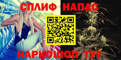 соль ск Ачхой-Мартан