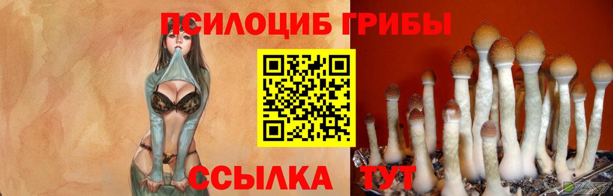 Галлюциногенные грибы мицелий  Псилоцибиновые грибы GOLDEN TEACHER  Вход с VPN  Кирово-Чепецк 
